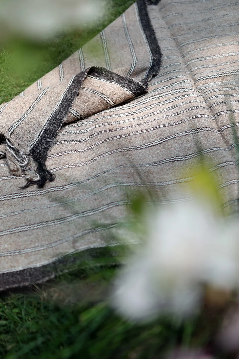Hāsuhokku: Deccani wool and handweaving, archive image 7