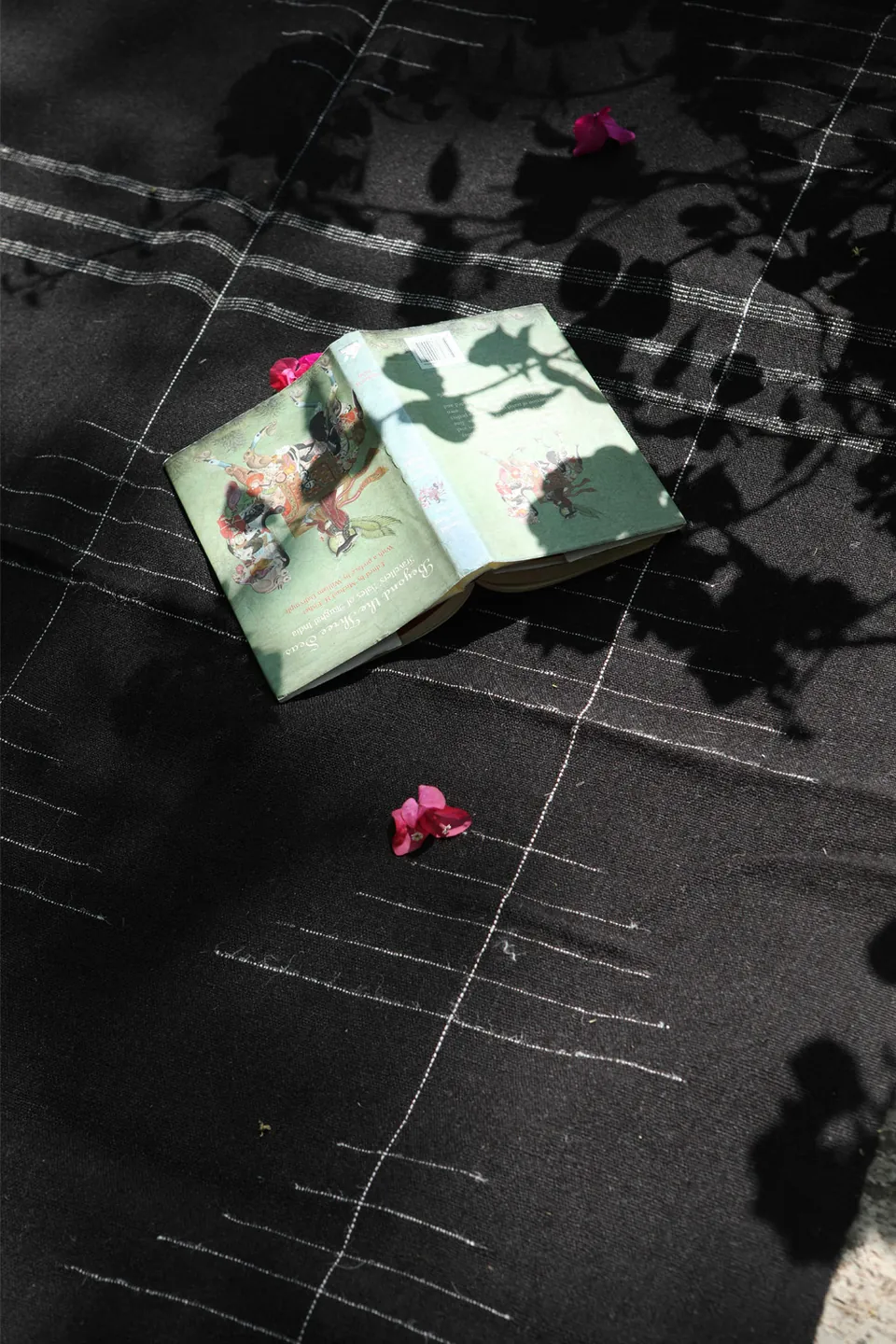 Hāsuhokku: Deccani wool and handweaving, archive image 1