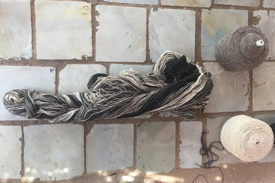 Hāsuhokku: Deccani wool and handweaving, archive image 14