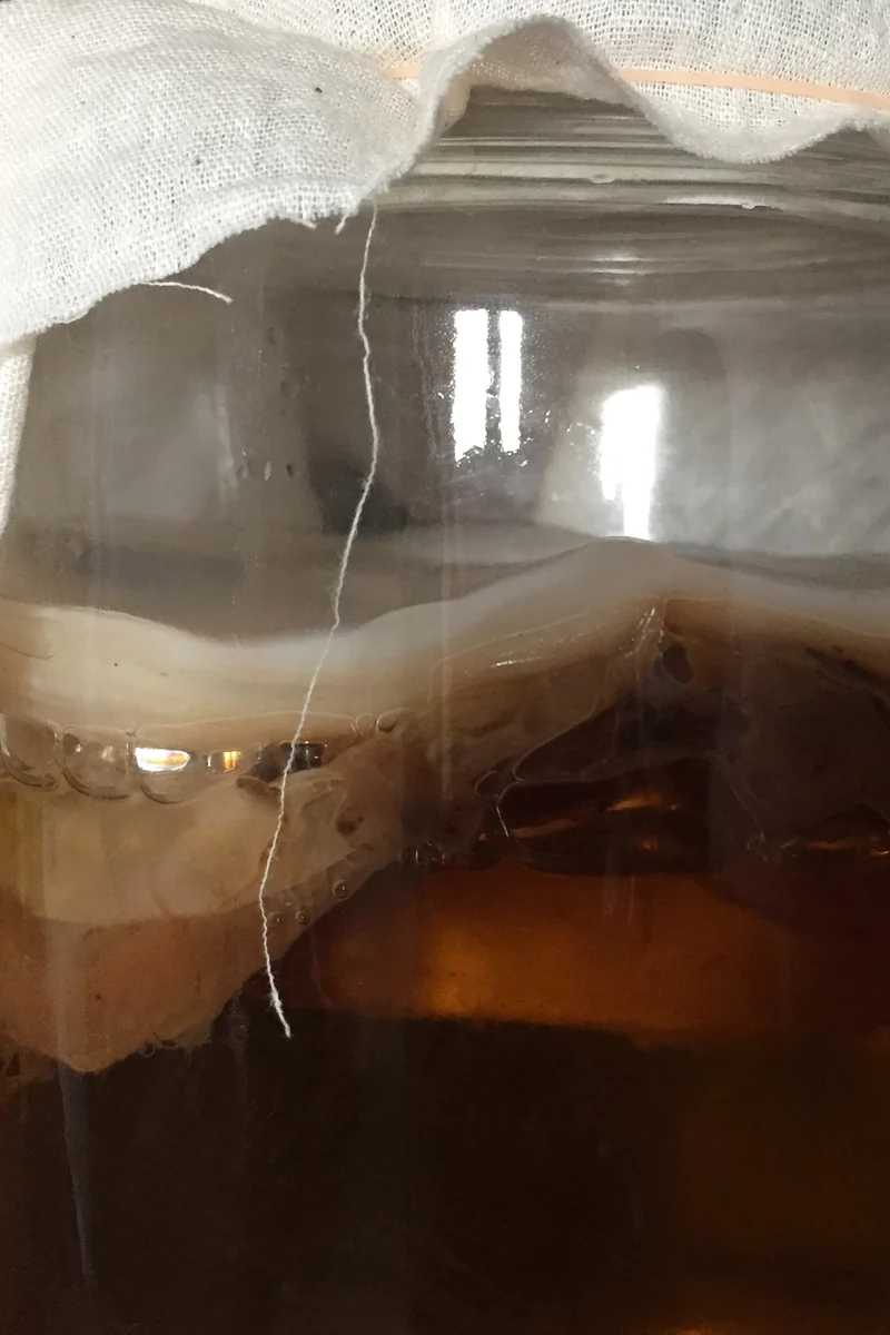 An early culture study in a glass vessel from the Botto archive