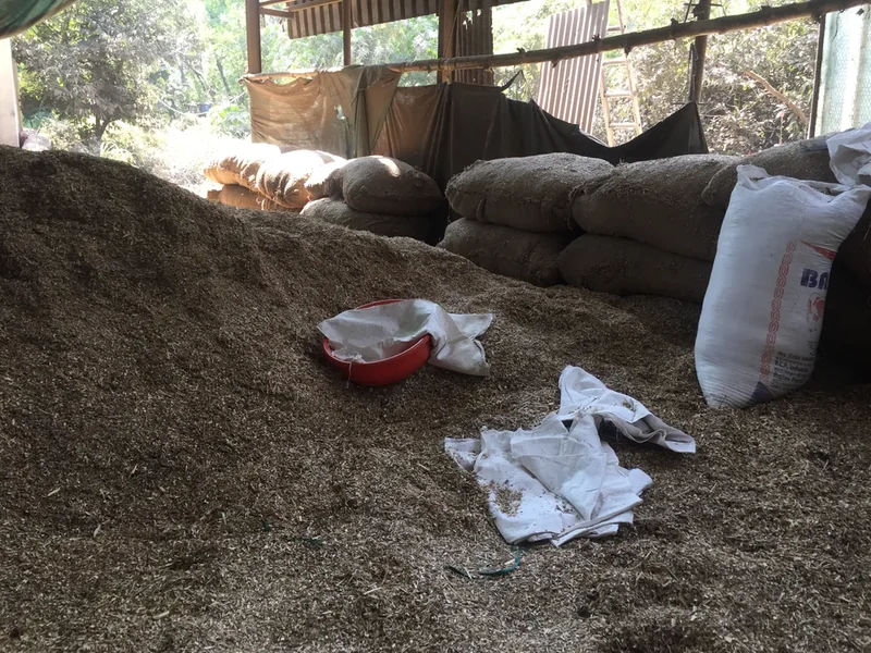 Agricultural residues collected and stored for material research